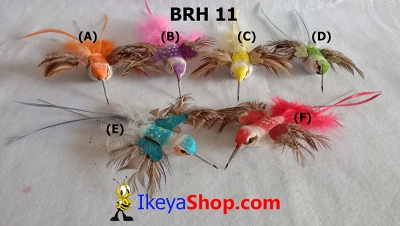 BRH 11 a  large2